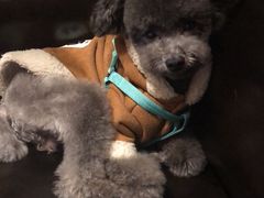 -沐沐家宠物(成寿寺店)