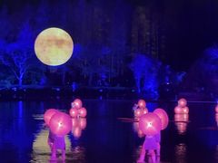 -印象西湖·最忆是杭州实景演出