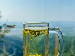 -天目湖御水温泉·度假酒店