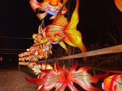 -燕郊植物园