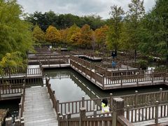 -五缘湾湿地公园
