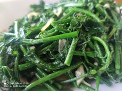 -八仔大富楼·河鲜(西江店)