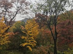 -北京鹫峰国家森林公园