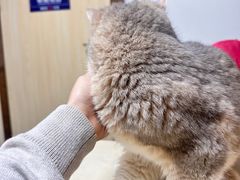 -宠颐生宠物医院外科·内科·皮肤科·影像科(石龙店)