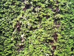 -华南国家植物园-售票处