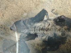 -海合安武汉极地海洋公园