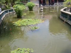 -碧江金楼