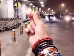 -金鸡岭桥头公园