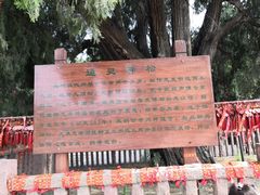 -四门塔风景区