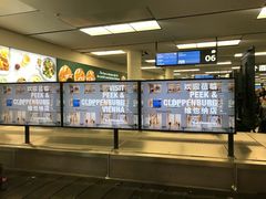 -维也纳国际机场