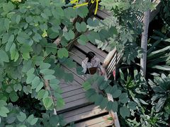 -郑州植物园