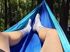 -武陵山森林公园