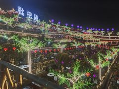 -枇杷园食为鲜火锅(南山店)