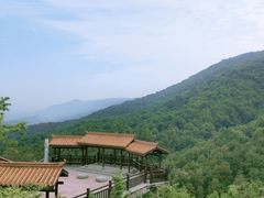 -铁山坪森林公园