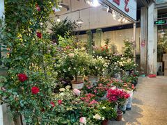 -双季花艺园艺市场(浦东店)