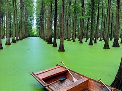 -渌洋湖湿地公园