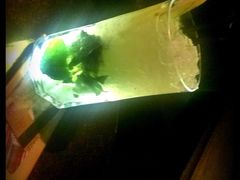 上海外滩英迪格酒店-上海外滩英迪格酒店