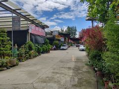 -金科花卉市场