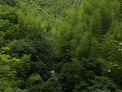 -众神白水涧景区