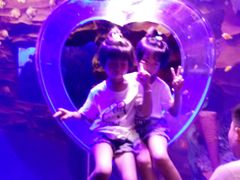 -芜湖新华联大白鲸海洋公园