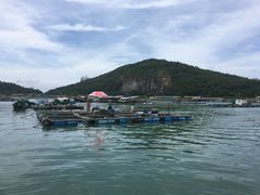 -海上驿站渔家菜馆