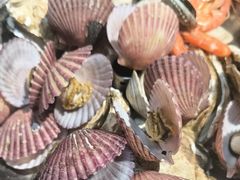 -和源祥·日照菜扛把子(万平口一店)