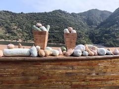 -新安江山水画廊风景区