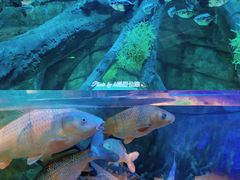 -沈阳海洋探索中心