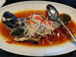 -新锦江大酒店·宴会厅·婚宴