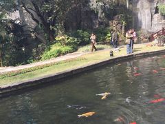 -广州花园酒店-凌璇阁360度高空海鲜自助餐CAROUSEL