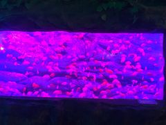 -芜湖新华联大白鲸海洋公园