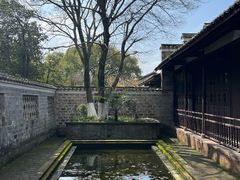 -八大山人梅湖景区