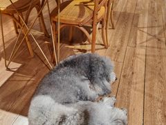 -沏点Trattoria意大利餐厅(新街口店)