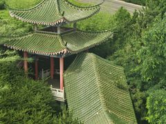 -摩天岭风景区
