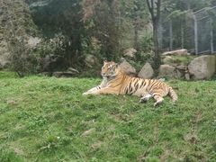 -西安秦岭野生动物园