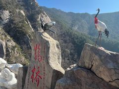 -罗田天堂寨风景区