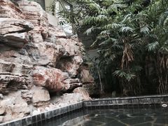 -龙达温泉生态城