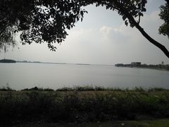 -漕湖湿地公园