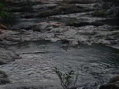 -马峦山郊野公园