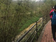 -红山村