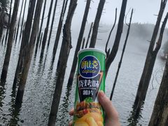 -明月山天沐温泉度假村