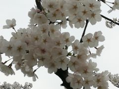 -长田漾湿地公园
