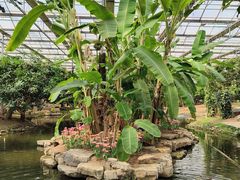 -南通洲际绿博园