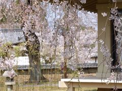 -醍醐寺