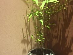 -福院