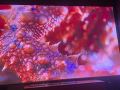 -星光摄影器材城