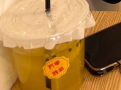 -有喵·猫咖·狗咖·30几只猫10只小狗(岗厦店)