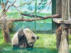 -无锡动物园·太湖欢乐园