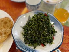 清香枸杞苗-国强手抓(北京西路店)