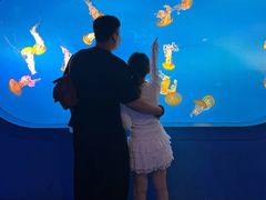 -太平洋海底世界